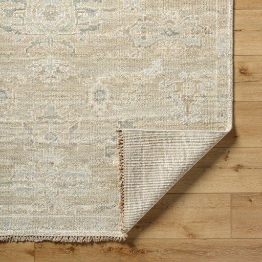 surya antalya aat 2305 light brown rug