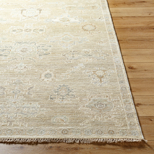 surya antalya aat 2305 light brown rug