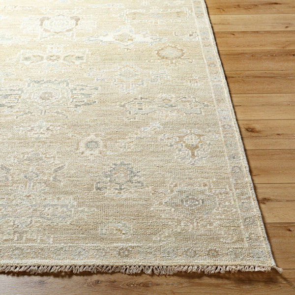 surya antalya aat 2305 light brown rug