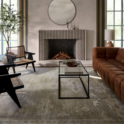surya antalya aat 2305 light brown rug