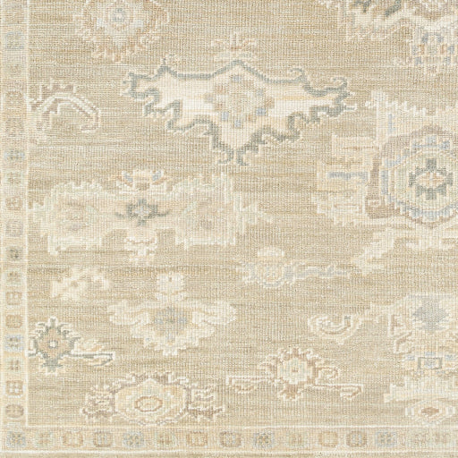 surya antalya aat 2305 light brown rug