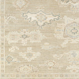 surya antalya aat 2305 light brown rug