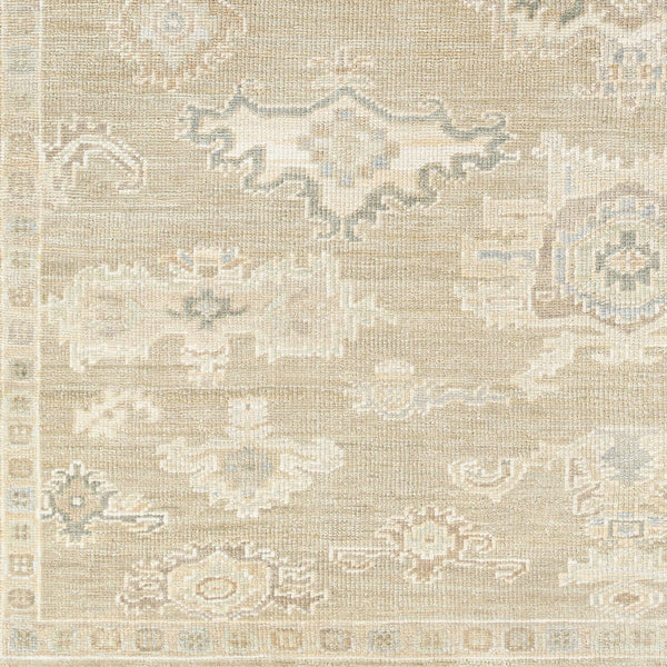 surya antalya aat 2305 light brown rug