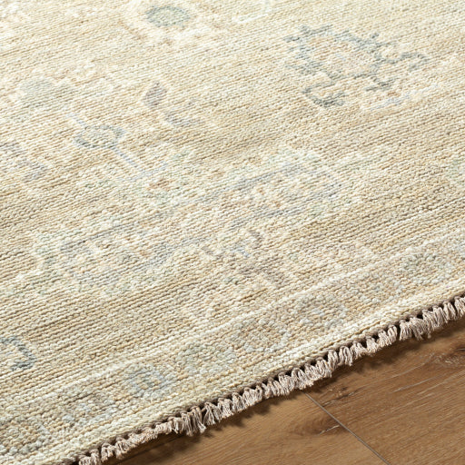 surya antalya aat 2305 light brown rug