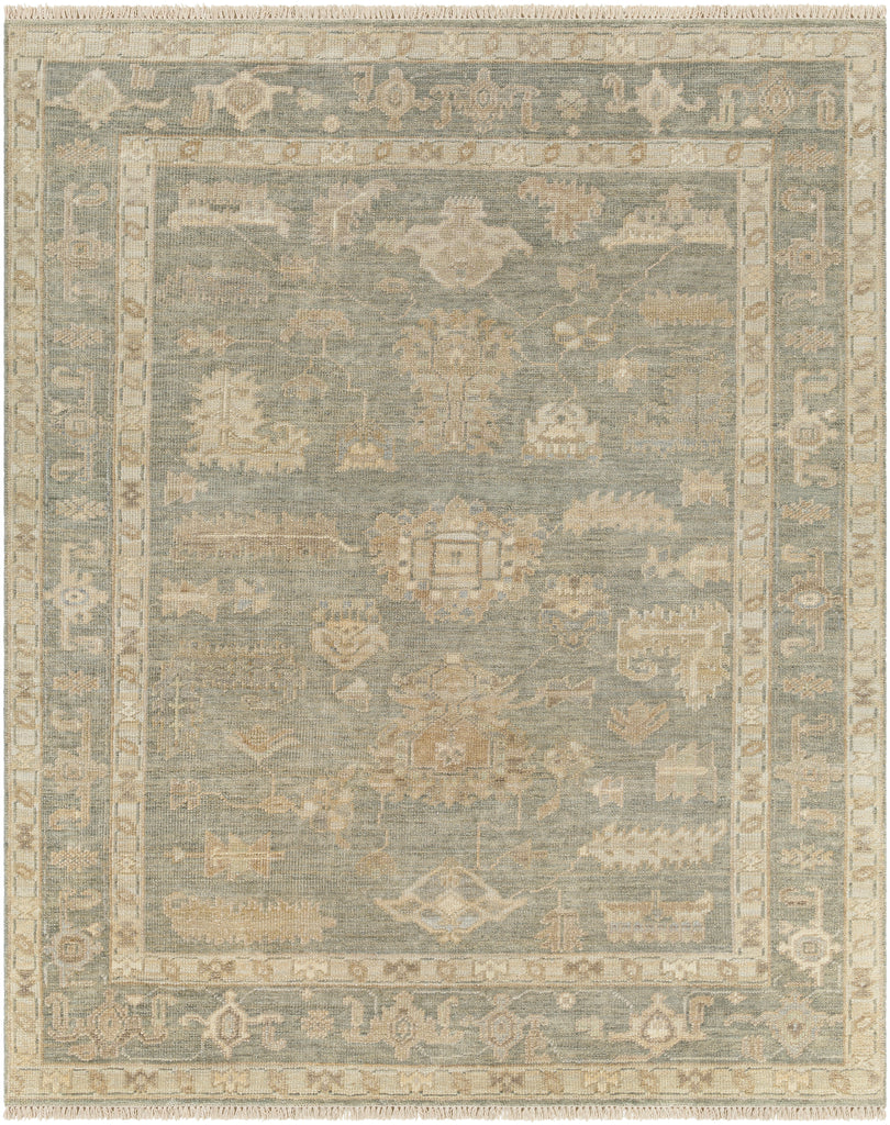 surya antalya aat 2306 brown rug