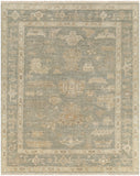 surya antalya aat 2306 brown rug