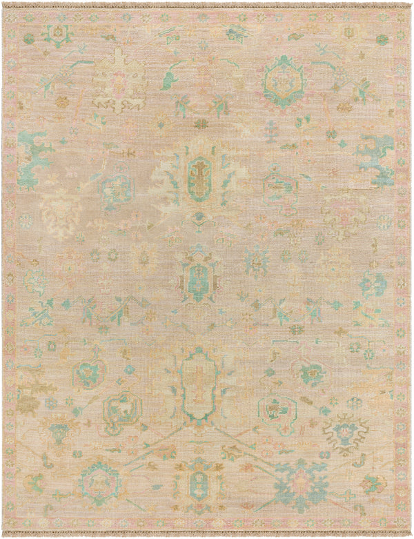 surya antalya aat 2308 brown rug