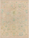 surya antalya aat 2308 brown rug