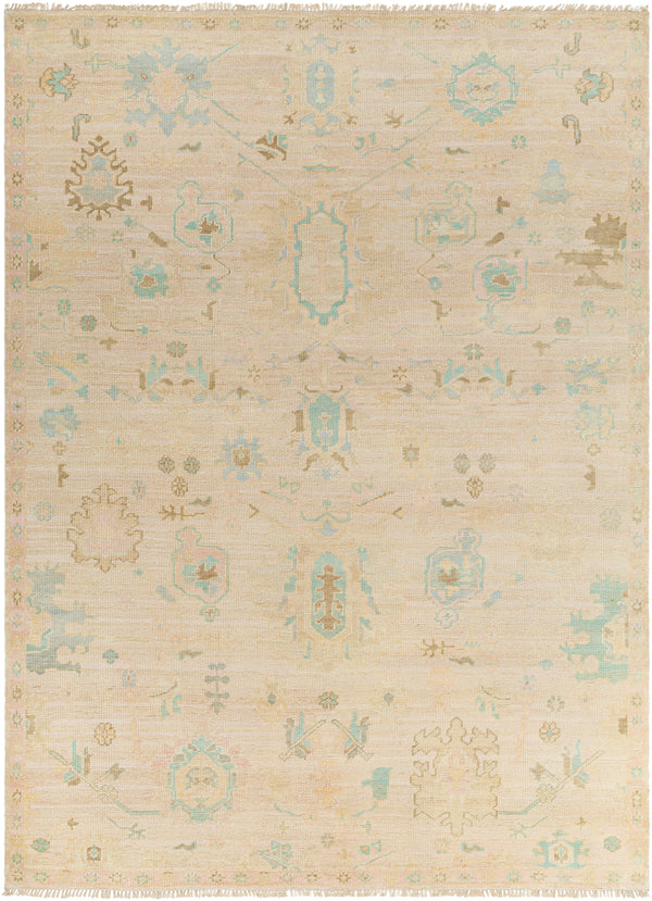 surya antalya aat 2308 brown rug