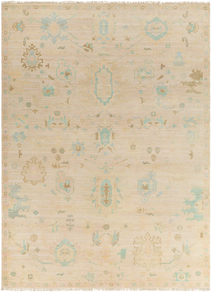 surya antalya aat 2308 brown rug