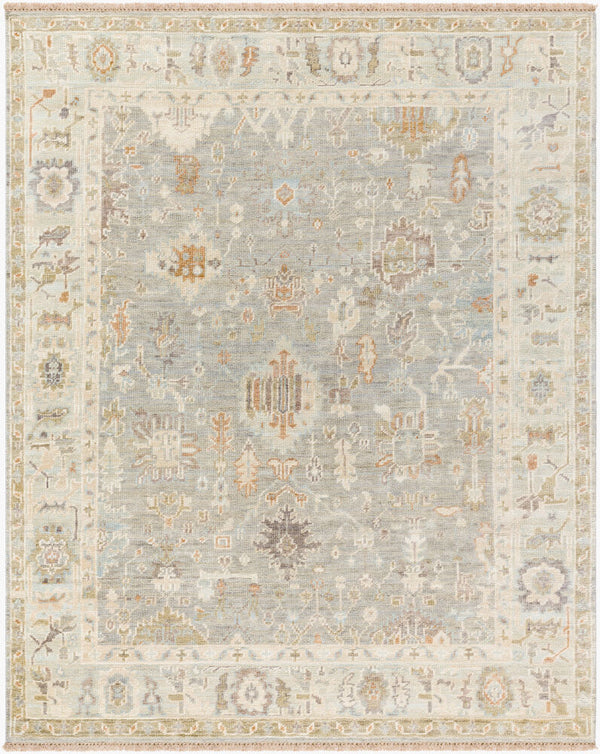 surya antalya aat 2311 brown rug