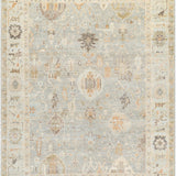surya antalya aat 2311 brown rug