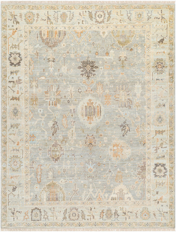 surya antalya aat 2311 brown rug