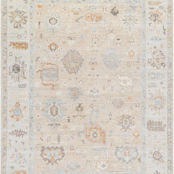 surya antalya aat 2314 light brown rug