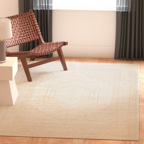 safavieh clearance adirondack adr108e ivory rug