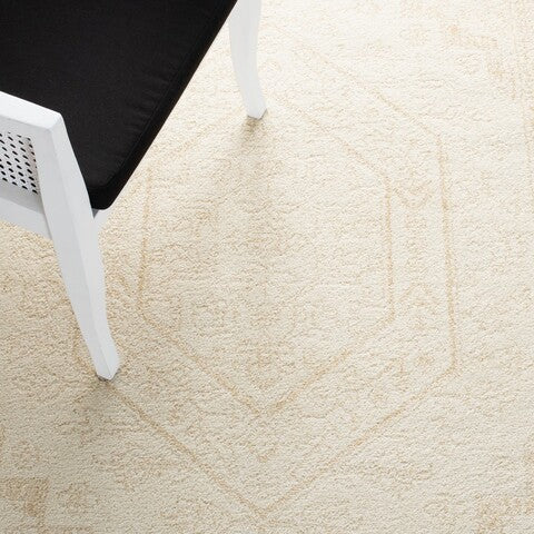 safavieh clearance adirondack adr108e ivory rug