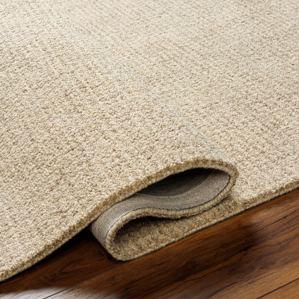 surya rug co aiden aen1000 brown rug