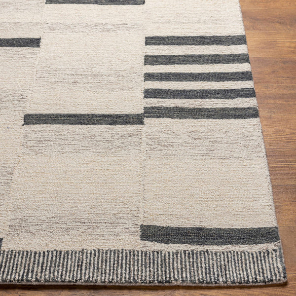 Hauteloom Aibonito AIB Charcoal Hand Tufted Wool Rug