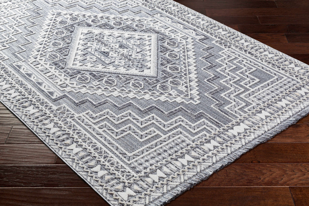 Hauteloom Limited Edition ALYA01 Gray Machine Made Polyester Rug
