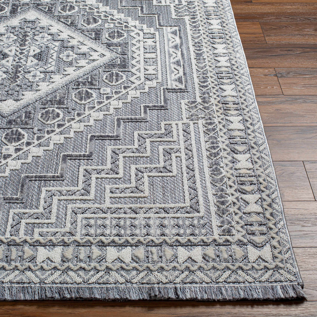 Hauteloom Limited Edition ALYA01 Gray Machine Made Polyester Rug
