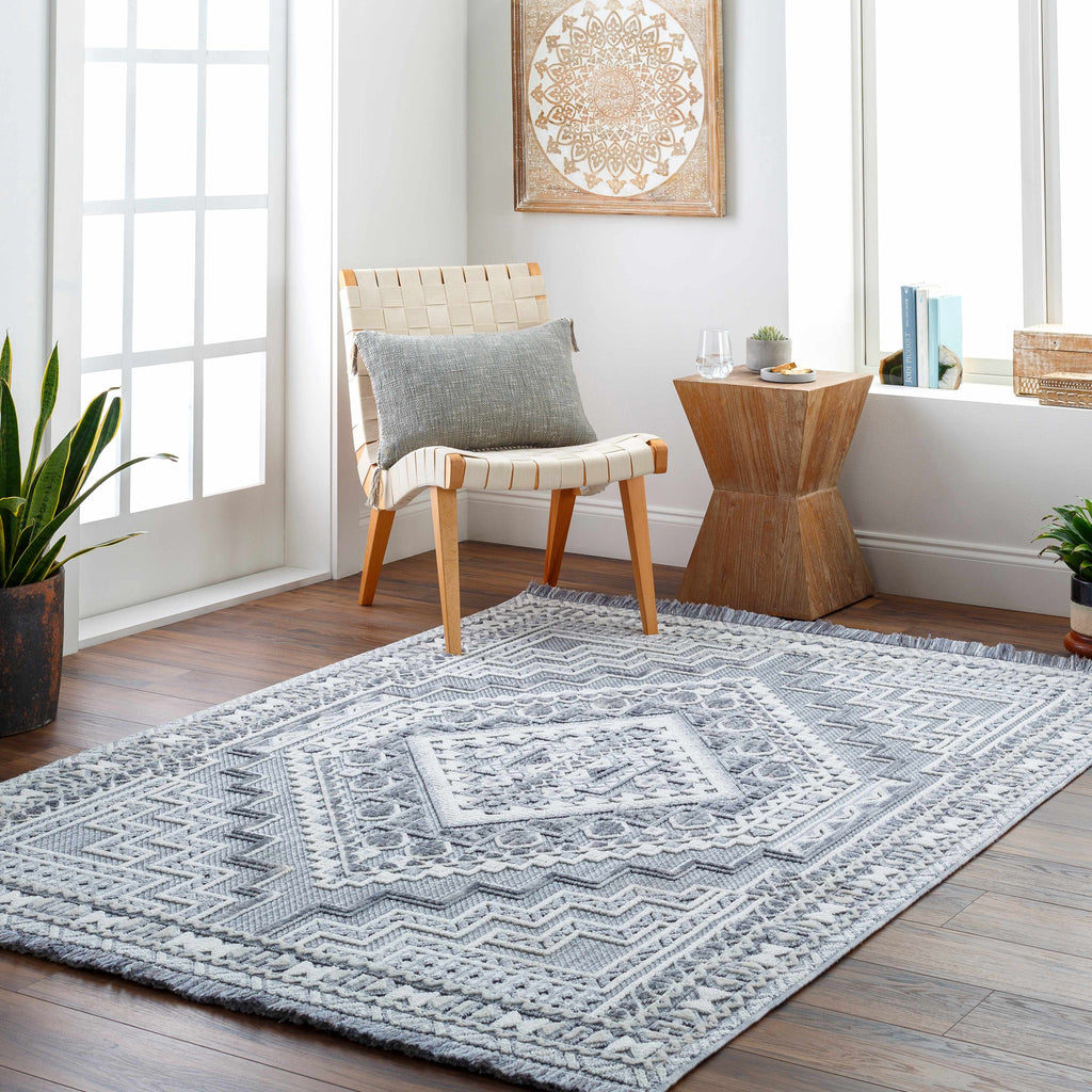 Hauteloom Limited Edition ALYA01 Gray Machine Made Polyester Rug