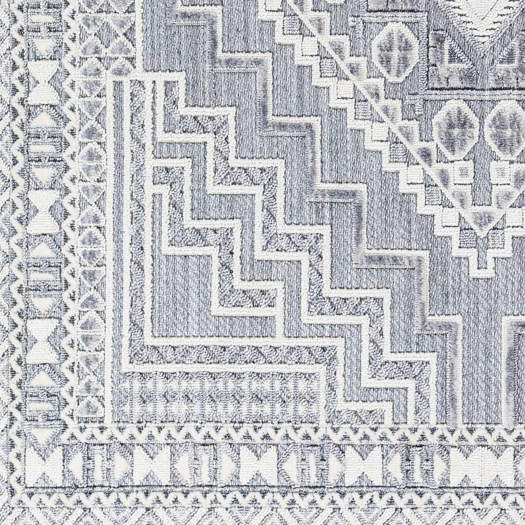 Hauteloom Limited Edition ALYA01 Gray Machine Made Polyester Rug