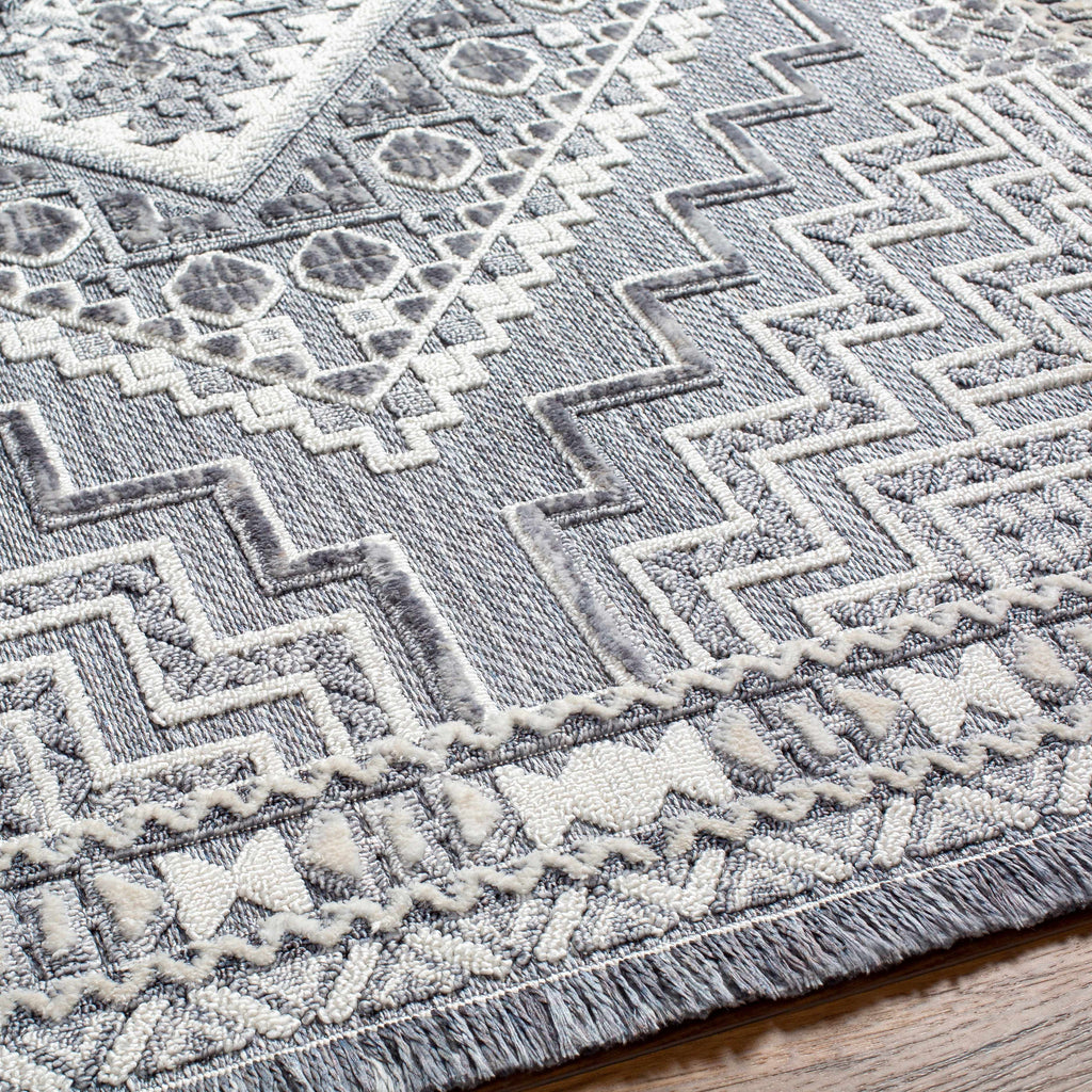 Hauteloom Limited Edition ALYA01 Gray Machine Made Polyester Rug