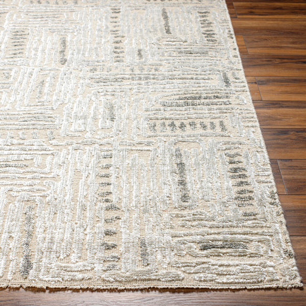 surya amina ama 2303 beige rug