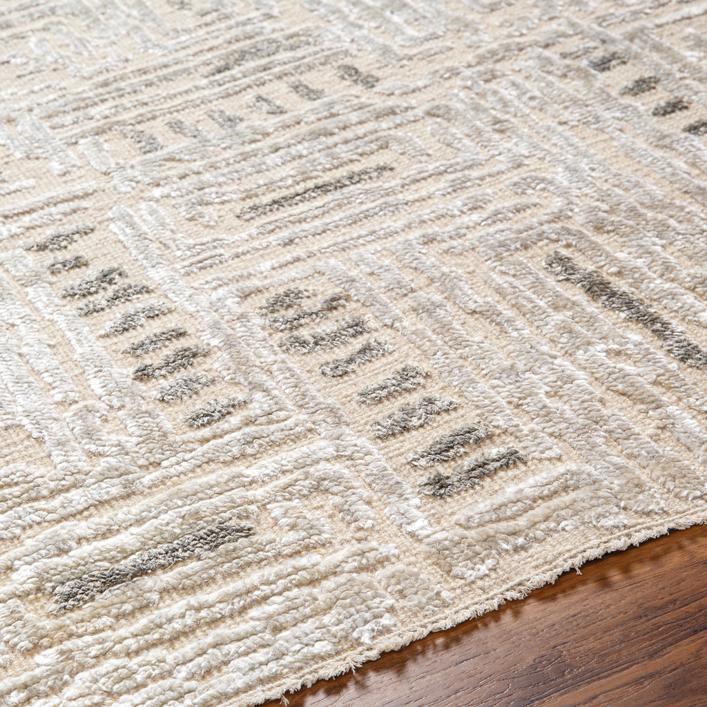 surya amina ama 2303 beige rug