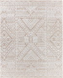 surya amina ama 2304 beige rug