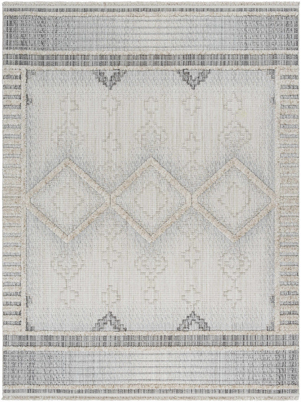 Hauteloom Amaga AMAGA Charcoal Machine Made Polyester Rug