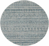 Hauteloom Ambridge AMB Aqua Machine Made Polypropylene Rug