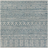 Hauteloom Ambridge AMB Aqua Machine Made Polypropylene Rug