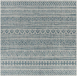 Hauteloom Ambridge AMB Aqua Machine Made Polypropylene Rug