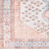 livabliss amelie aml 2326 blush rug