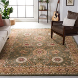 safavieh clearance anatolia an516a sage rug