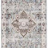 safavieh clearance antique patina anp644f grey rug