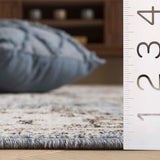 safavieh clearance antique patina anp644f grey rug