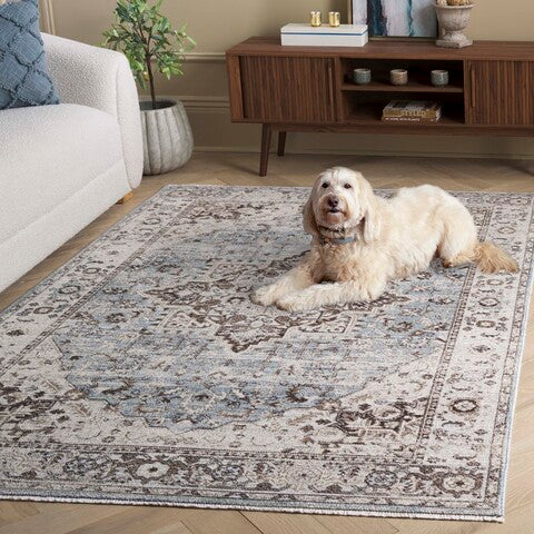safavieh clearance antique patina anp644f grey rug