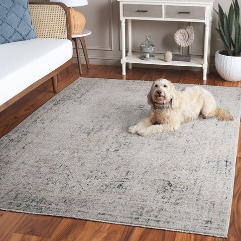 safavieh clearance antique patina anp650f grey rug