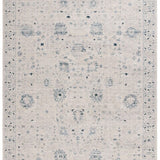 safavieh clearance antique patina anp656a ivory rug