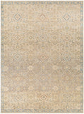 surya anatolia any 2308 light beige rug