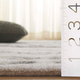 safavieh clearance aspen apn552z ivory rug
