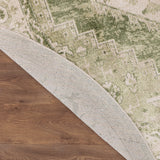 nourison astra machine washable asw11 ivory green rug
