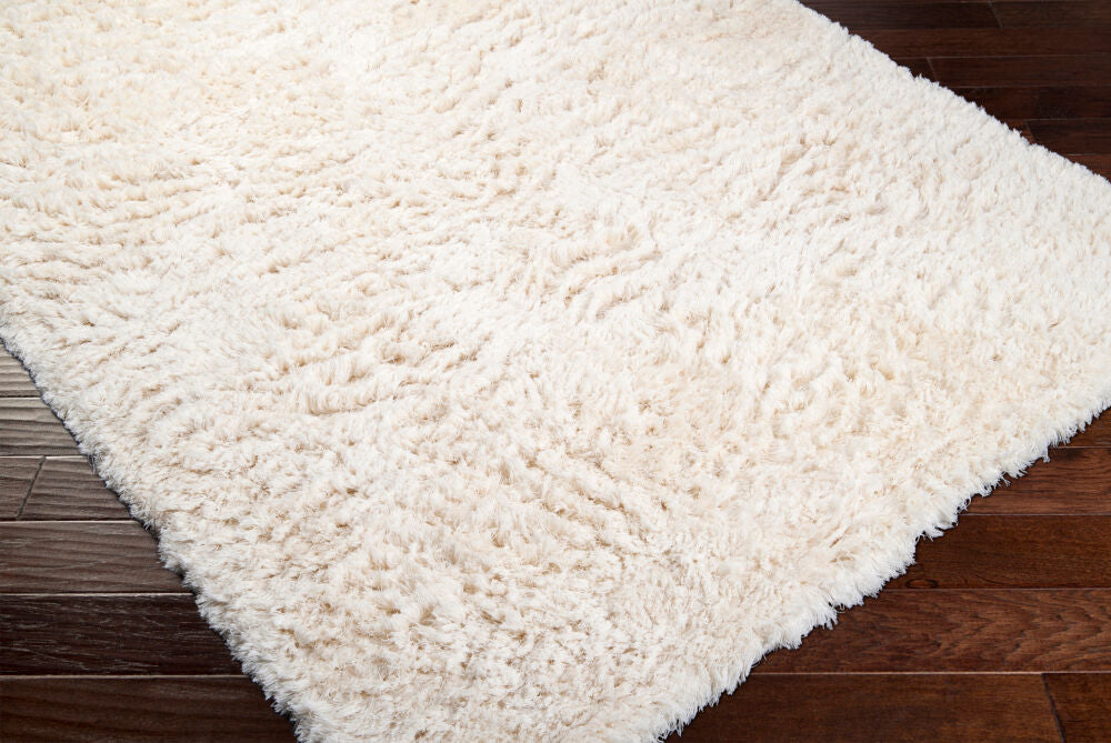 surya rug co ashton ash1300 ivory rug