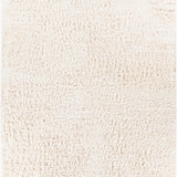 surya rug co ashton ash1300 ivory rug