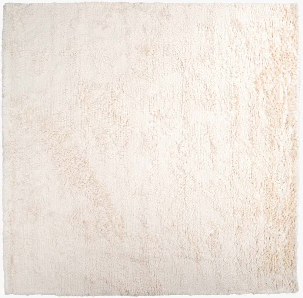 surya rug co ashton ash1300 ivory rug