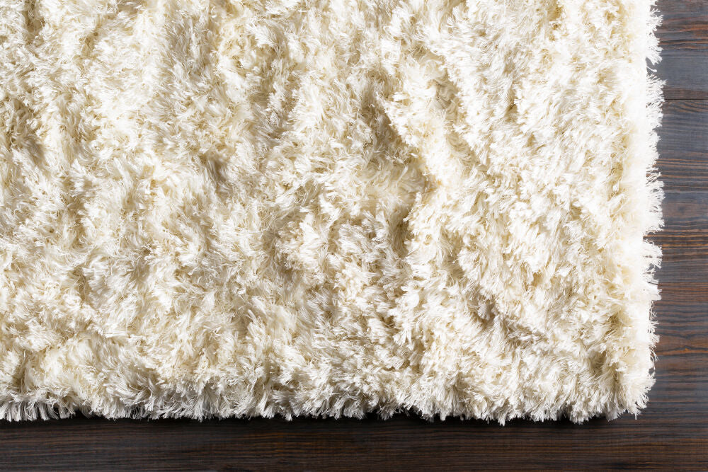surya rug co ashton ash1300 ivory rug