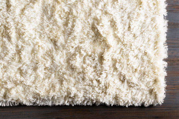 surya rug co ashton ash1300 ivory rug