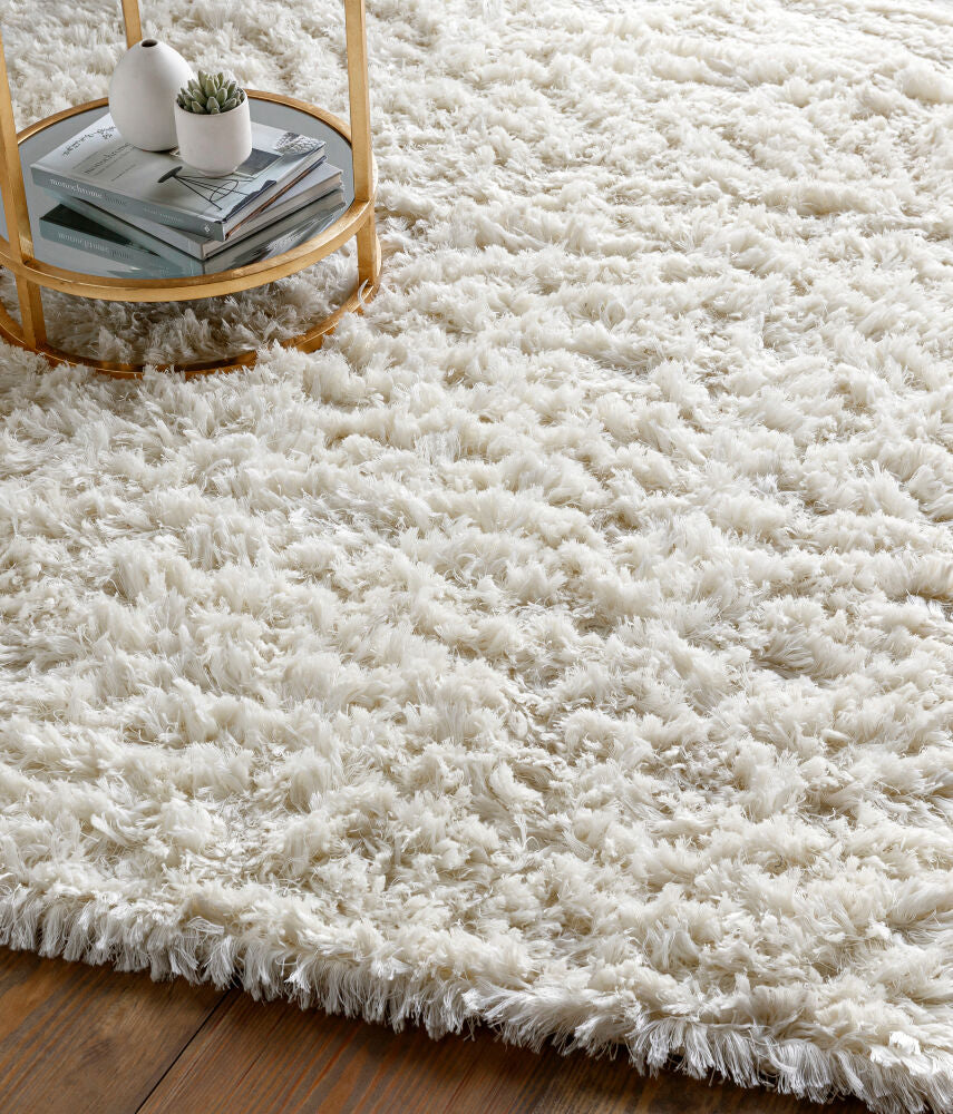 surya rug co ashton ash1300 ivory rug